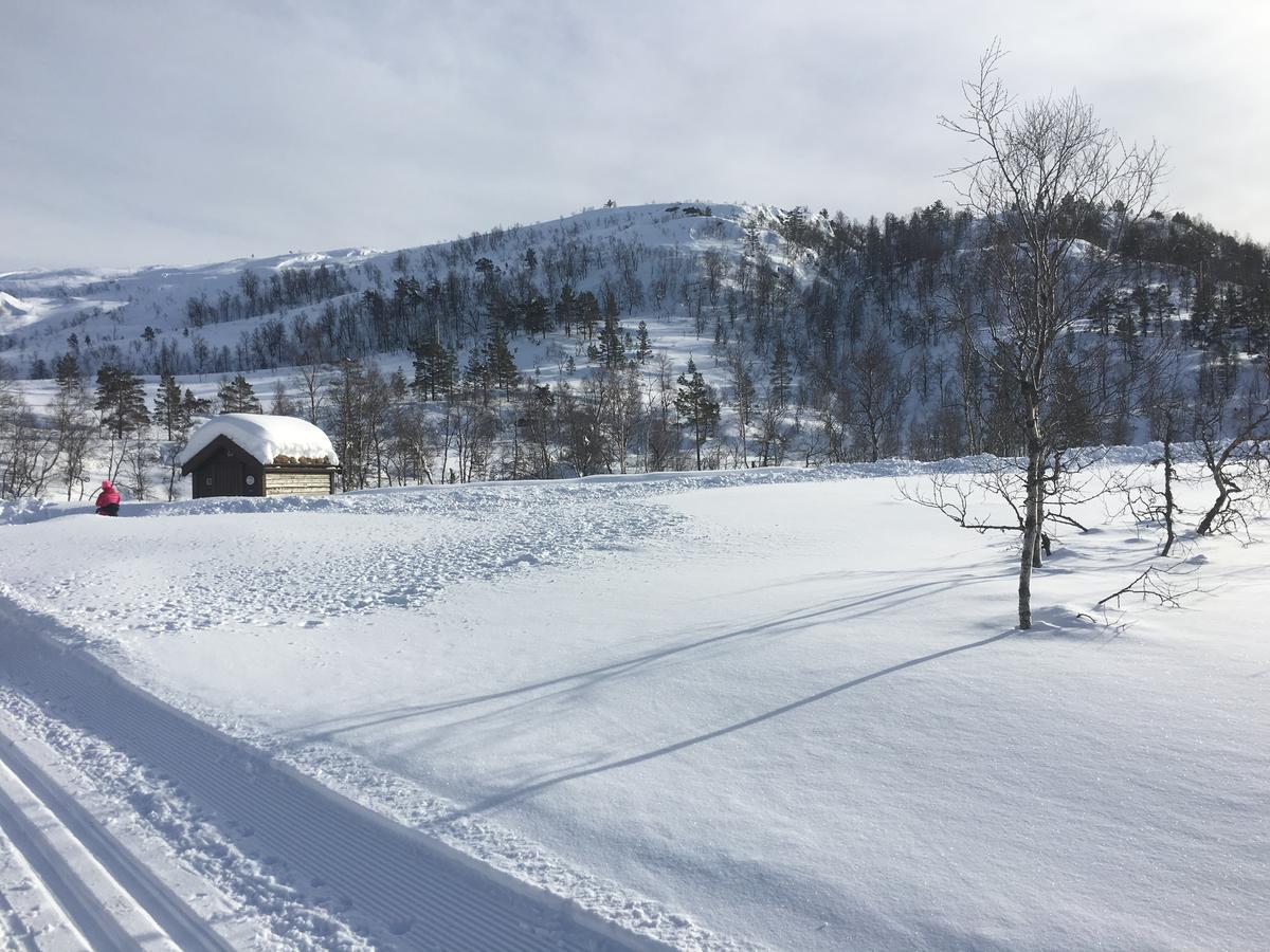 Kvamseter Lodge Eikedalen Eksteriør billede